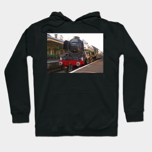 National Treasure, March 2019 Hoodie